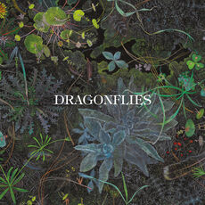 The Dragonflies - Dragonflies