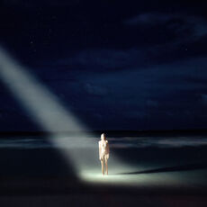 Ellen Allien - New Life